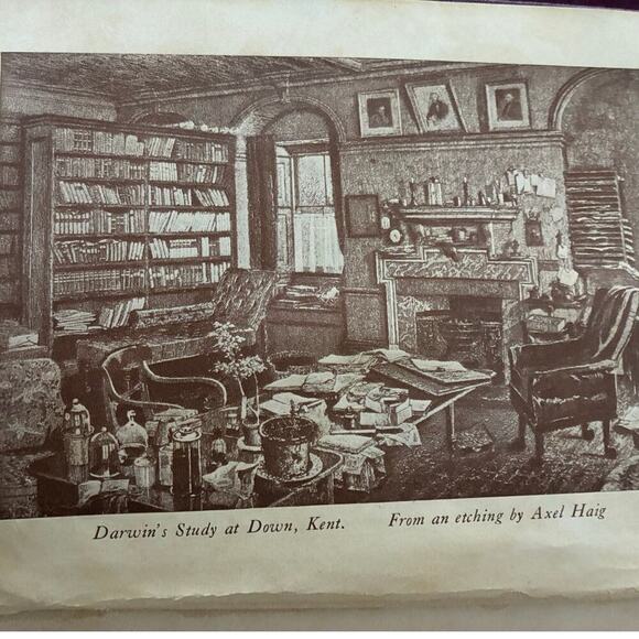 Harvard Classics Lot of 4: Darwin, Locke/Hume, Burke French Revolution - Picture 5 of 9